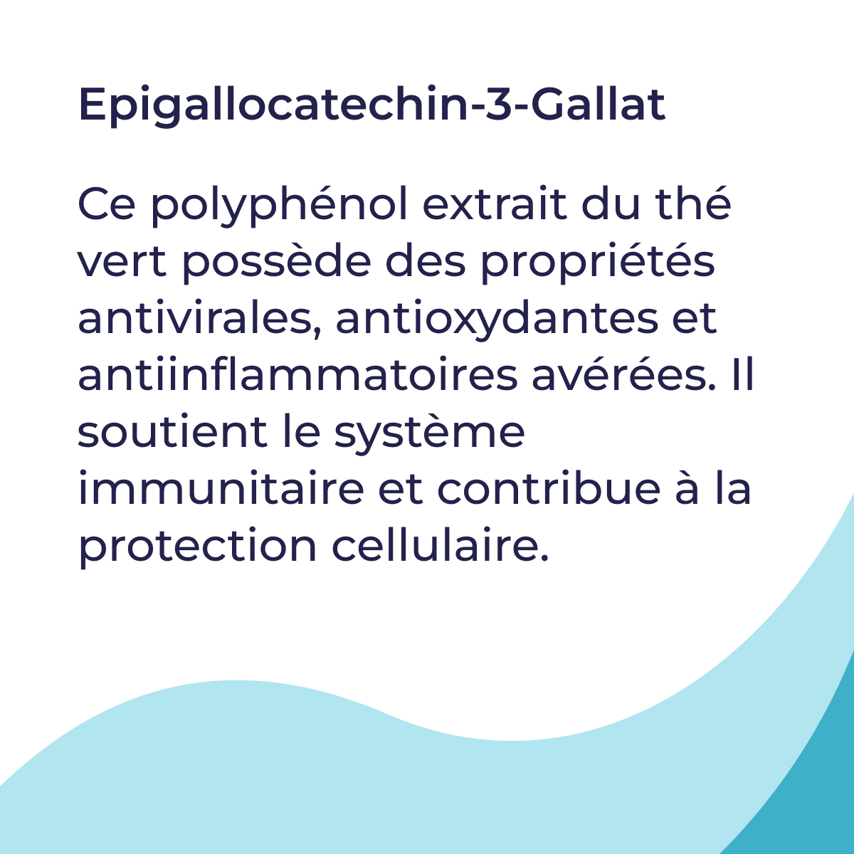 5202_fr_04_defence-hp-nem