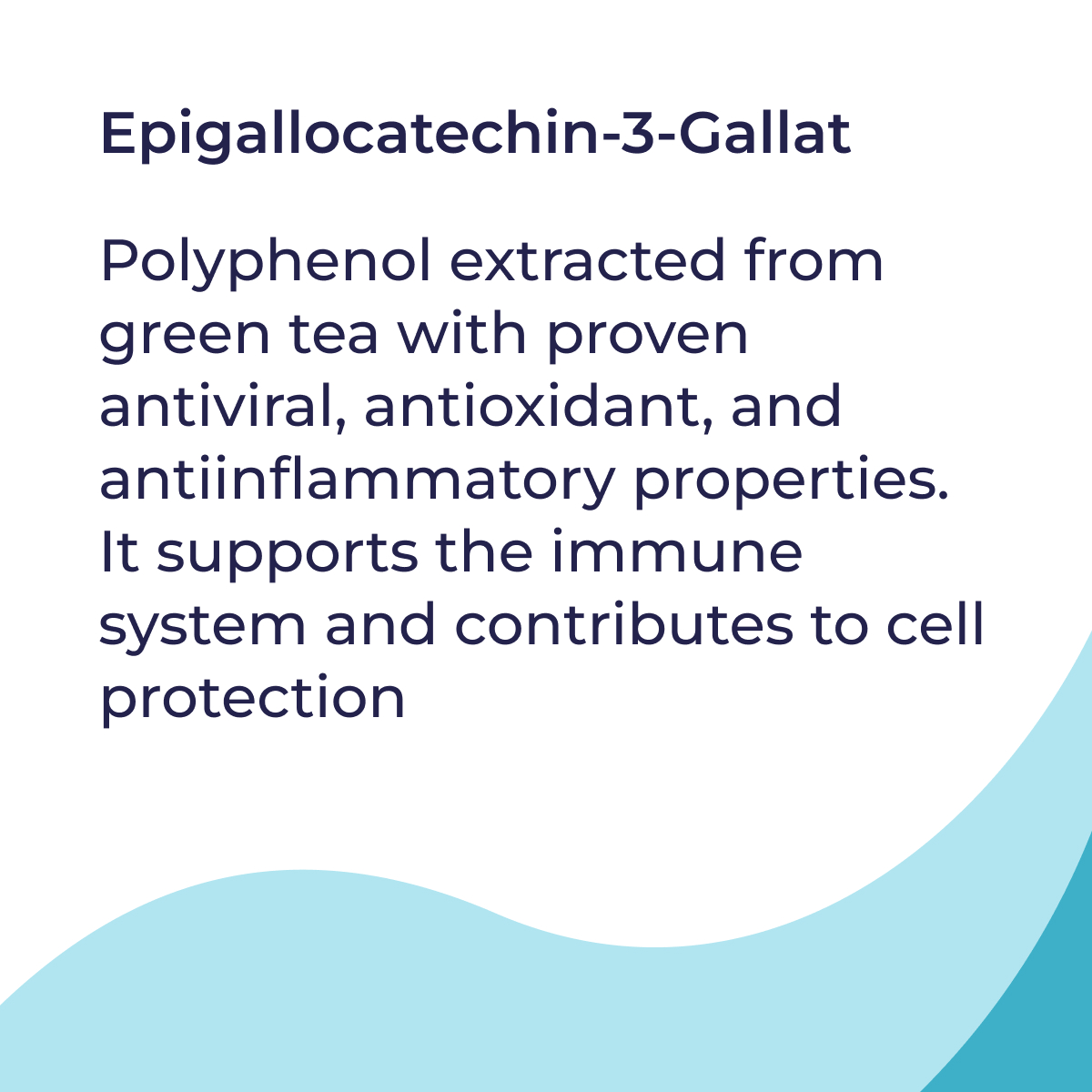 5202_en_04_defence-hp-nem