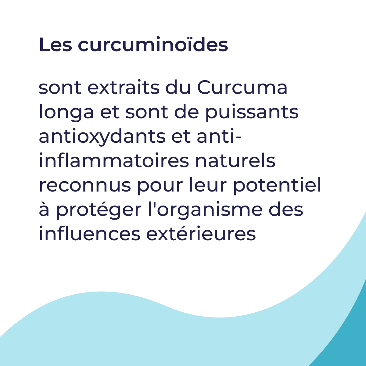 5202_fr_05_defence-hp-nem