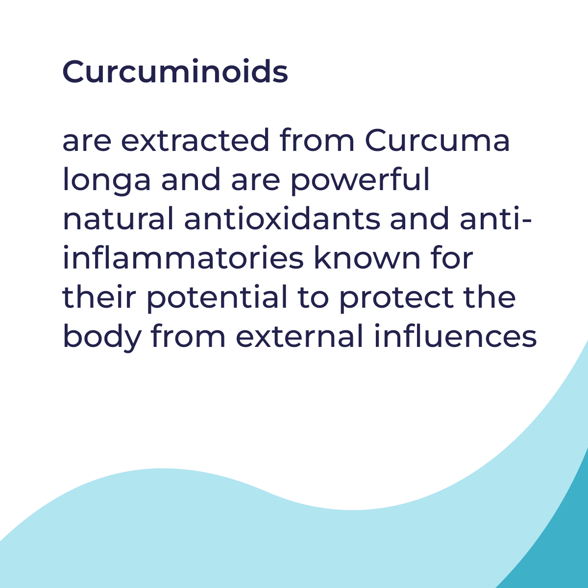 5202_en_05_defence-hp-nem