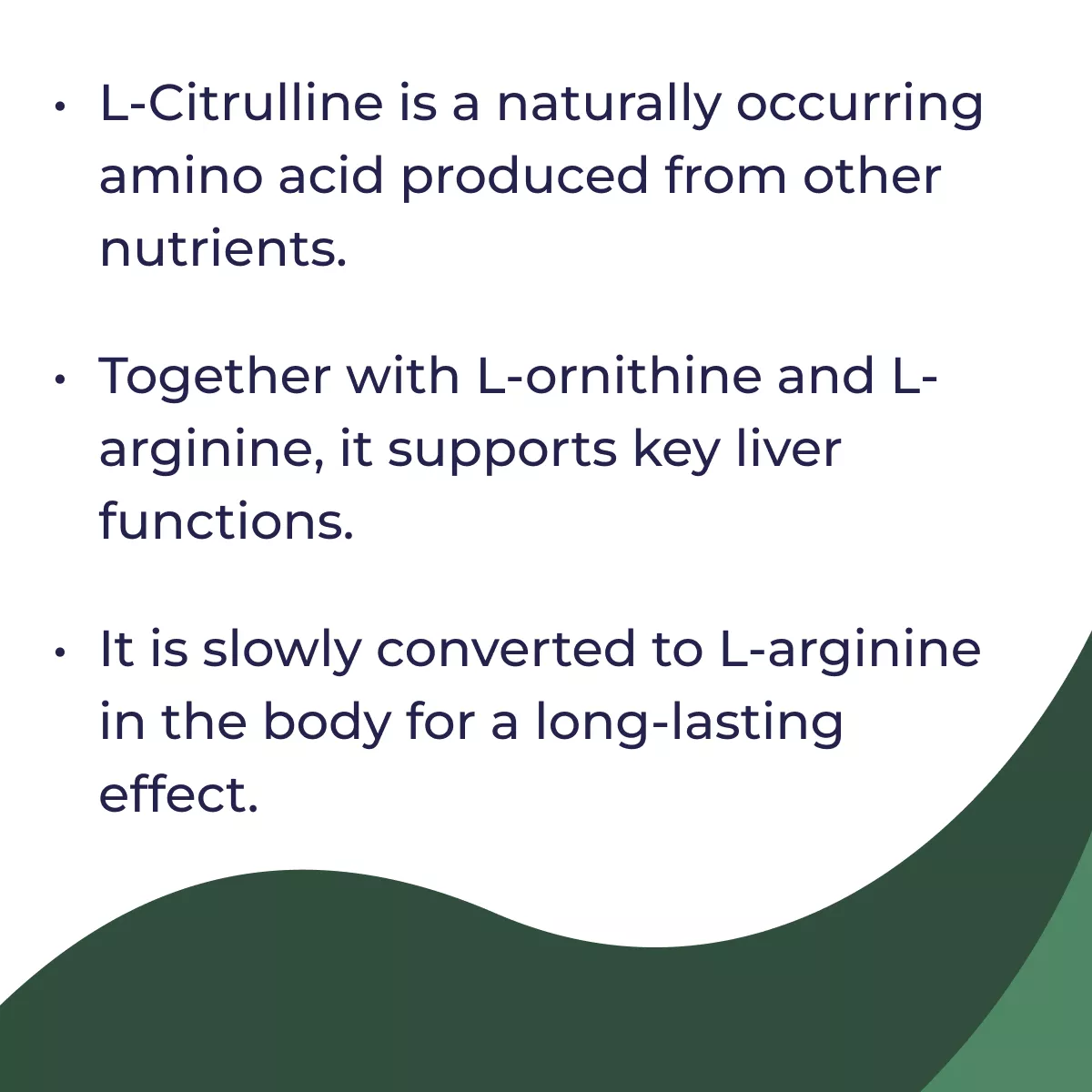 8025_en_03_citrulin-pure-500g
